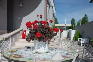 sleep and go hotels rome airport bed and breakfast fiumicino shuttle service